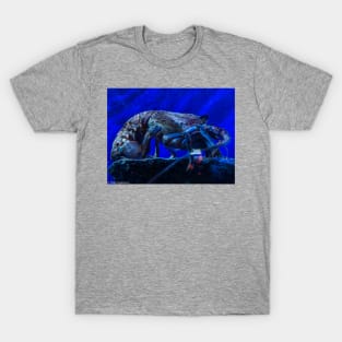 Rock Lobster T-Shirt